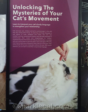An exhibit panel at the Purina Better With Pets Experiential Exhibit