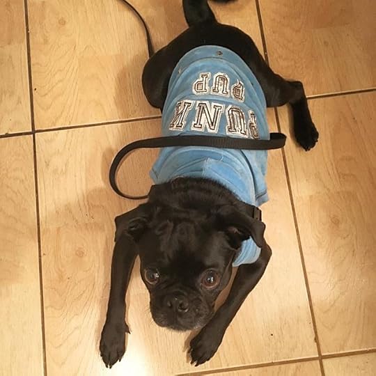 12070976_578692598946594_1601553036_n