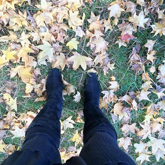 12093507_960033990701371_930591558_n