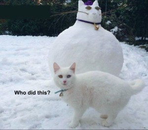 Humor - Cat:Snowman