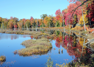 Mud Lake on the Northville-Lake Placid Trail