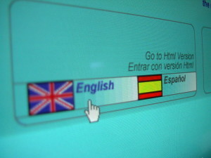 Berts Language Learning Plan - Survive Travel