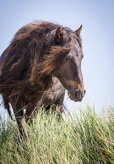 Final Cover Image - Martina