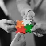 team5 - piese puzzle patrat