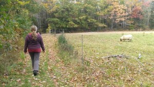 autumnwalk