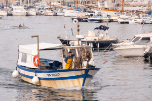 Bringing in the fish the old way in le Vieux Port