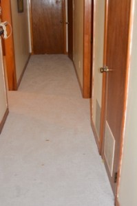 Carpet in Hall