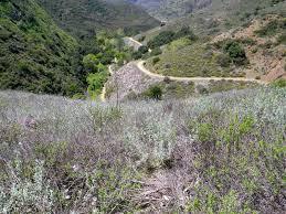 California Art: From Nature and from Human Hands