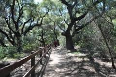 California Art: From Nature and from Human Hands