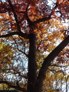 Autumn: A Time of Atonement and Bounty