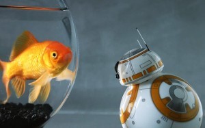 bb8