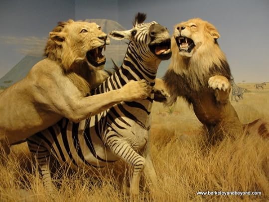 African watering hole exhibit at Las Vegas Natural History Museum