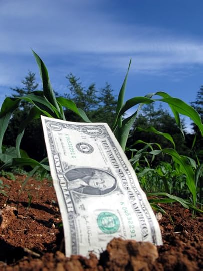 A dollar bill planted among other seedlings in a field