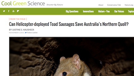 quolls-toad