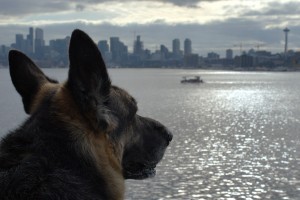 12186365_10153951716228268_2715667569508046441_o[1]