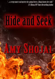 Hide_Seek(2)