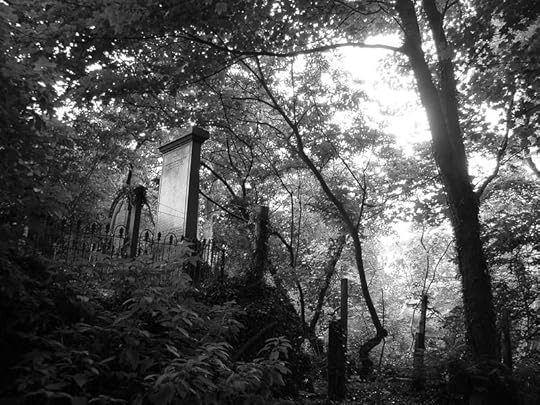 Headstone in the light