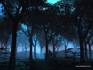 Nature_Forest__000673_1