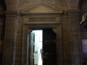 Anatomy Museum Edinburgh