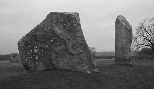 P1330630 cropped.jpg