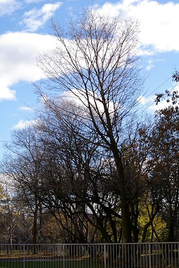 Tree Project - image 69