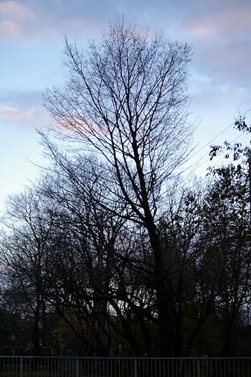 Tree Project - image 68