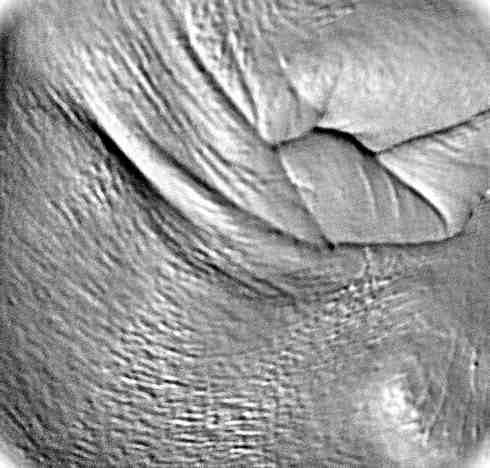 Copy of fist heart