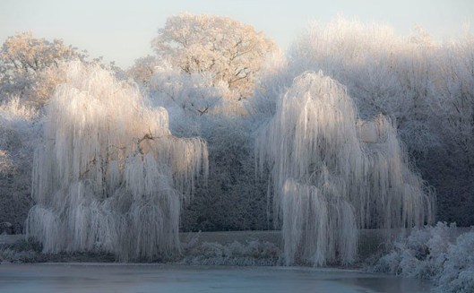 Frost3