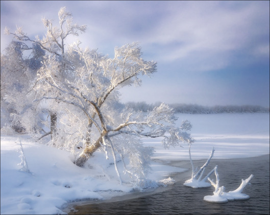 Frost4