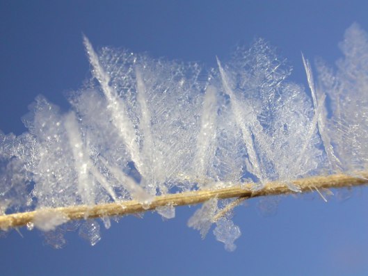 Frost6