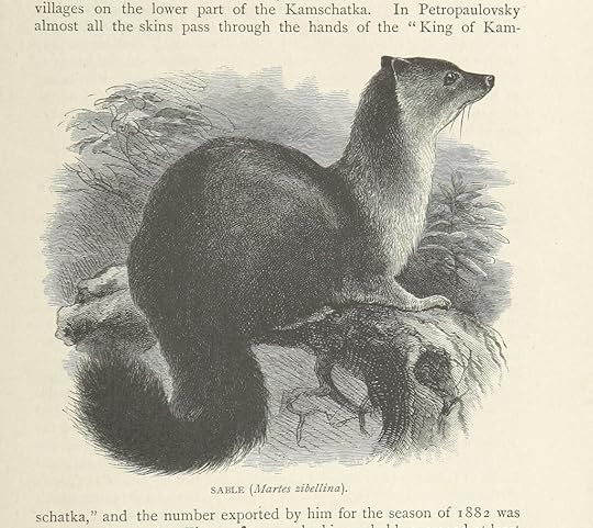 Image taken from page 133 of 'The Cruise of the Marchesa ... With maps and ... woodcuts drawn by J. Keulemans, C. Whymper and others ... Second edition'