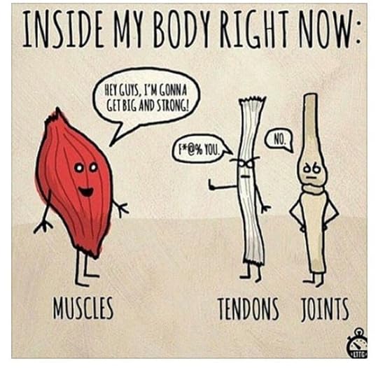 muscle