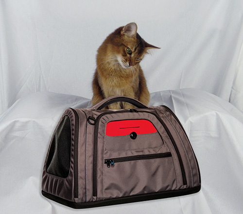 Somali Cat, Hatch Pet Carrier