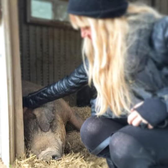 11379226_699465850186334_390590874_n