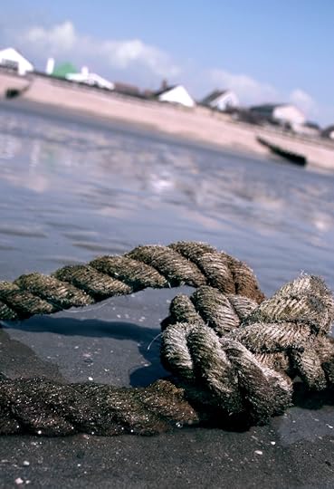 Wittering beach/ Photo credit Natalie Miller