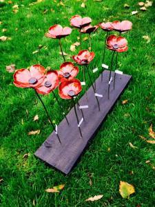 poppies 01