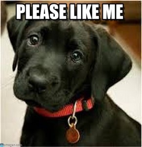 please like me