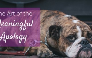 Meaningful Apology Blog
