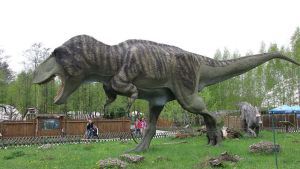 Life sized model