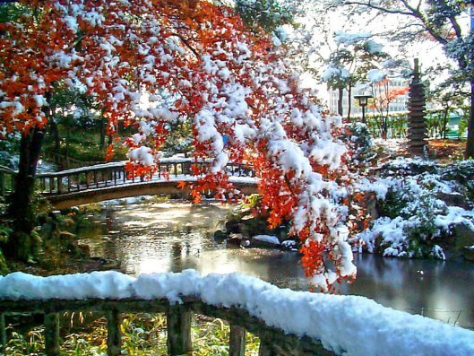 Snow3
