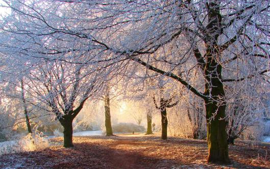 Frost2