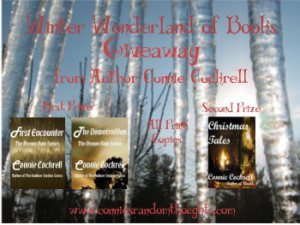 Promo for Winter Wonderland Giveaway