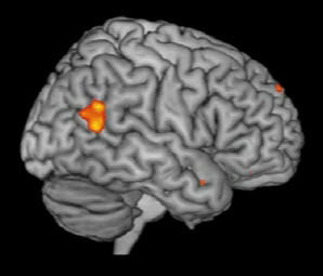 Theory_of_Mind_Edward_Lewellen