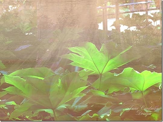 Leaves_DreamLightOverlay