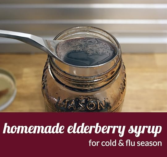 Homemade elderberry syrup for cold & flu season