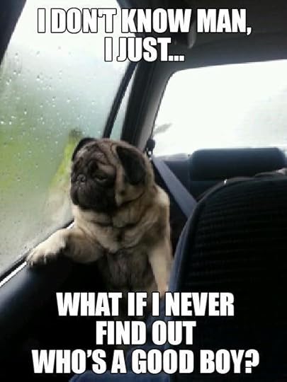 introspectivepug