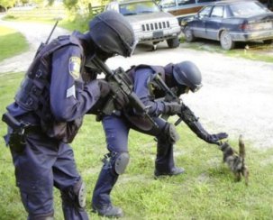 zooCat Terrorist