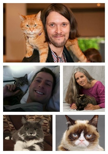 life-changing-cats