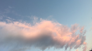 bumpy cloud