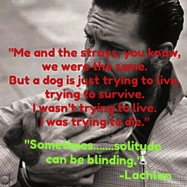 photo 300full_zps2trfdln6.jpg